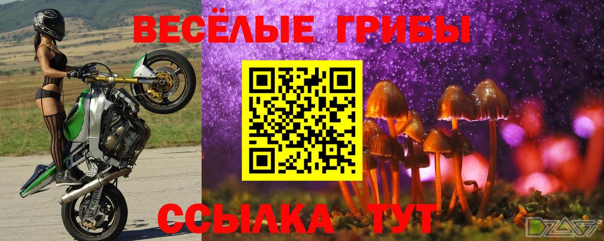 Псилоцибиновые грибы Psilocybe  Вход с VPN  Людиново  магазин    Псилоцибиновые грибы мицелий 