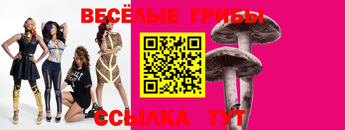 Галлюциногенные грибы Psilocybe Людиново
